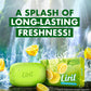 Liril Lime and Tree Soap 125gm