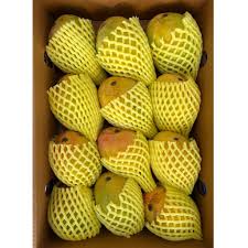 Fresh Dasheri Mangoes 1.5kgs (6 pcs)  - No refund or guarantee