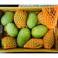 Fresh Langdo Mangoes (6 pcs)  - No refund or guarantee