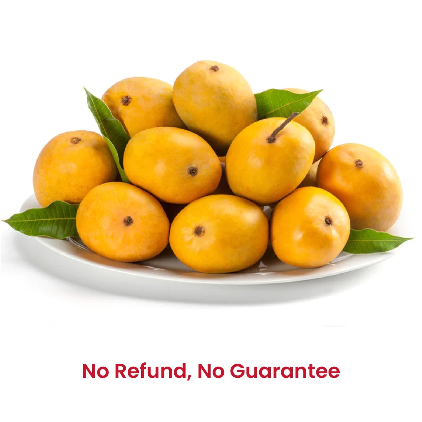 Fresh Alphonso and Kesar Mangoes (Combi Pack) 1.3kgs (4-6 pcs) - No refund or guarantee